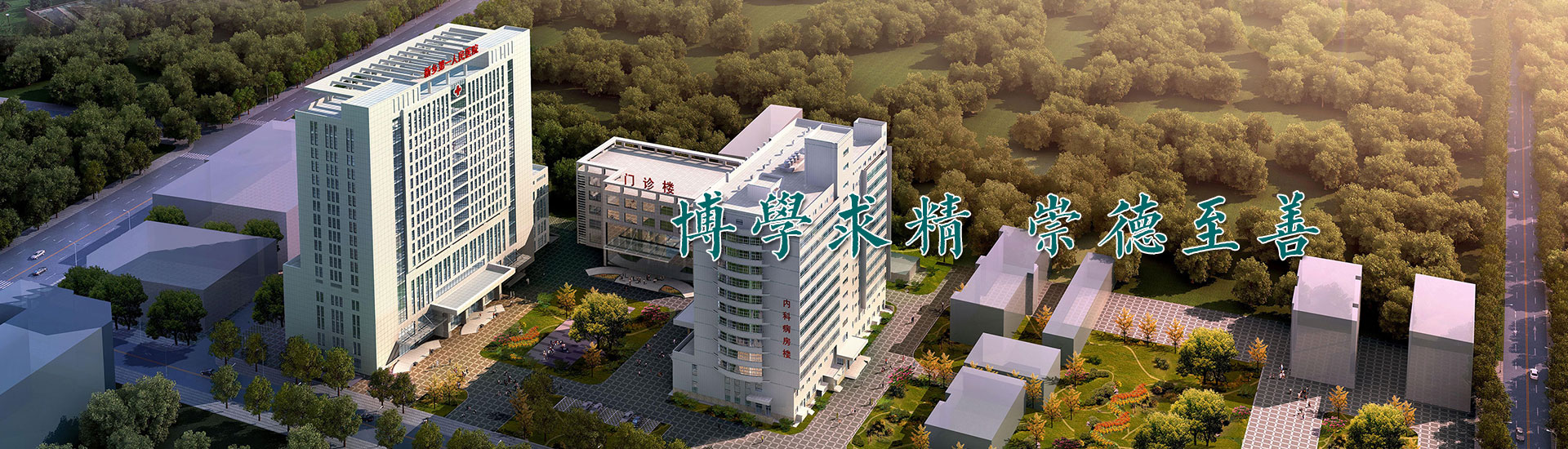 博学求精崇德至善-2022免费白菜